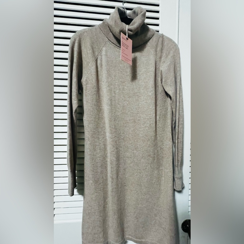 Quince Cashmere Sweater Dress (S)